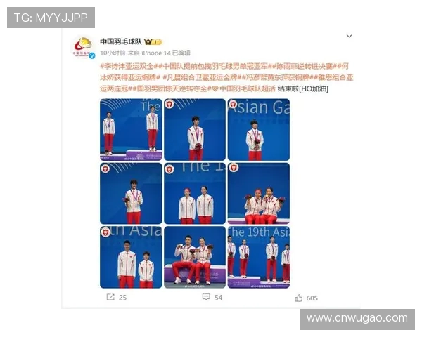 杭州羽毛球队实力深度解析与其他球队的对比分析