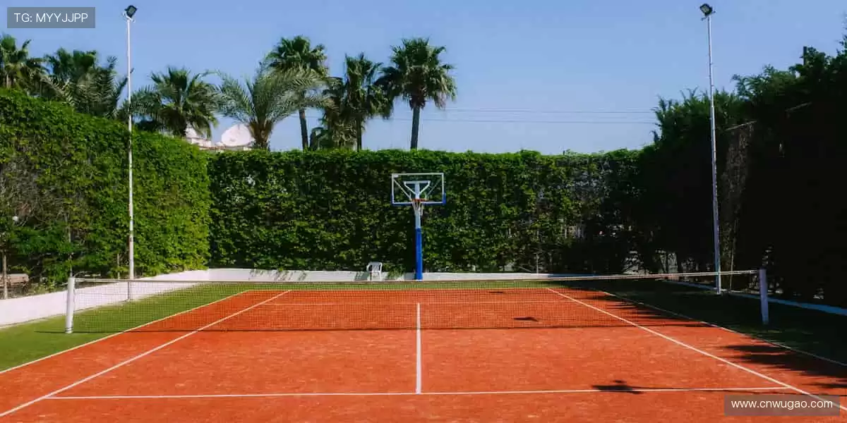 一键订阅，精彩赛事永不缺席🔔✅